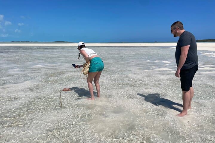 Great Exuma 3-Hour Guided ATV Tour: Caves, Beaches & Shallow Flats photo 4