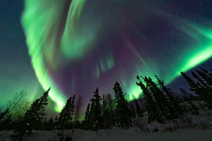 Yellowknife Small-Group Aurora Photography and Viewing — Capture the Northern Lights