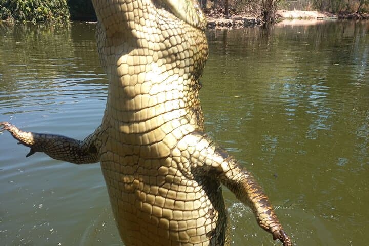 Darwin Crocodile Cruise and City Highlights Tour — Jumping Crocs & Stokes Hill Wharf Lunch photo 2