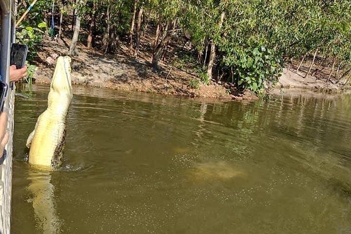 Darwin Crocodile Cruise and City Highlights Tour — Jumping Crocs & Stokes Hill Wharf Lunch photo 3
