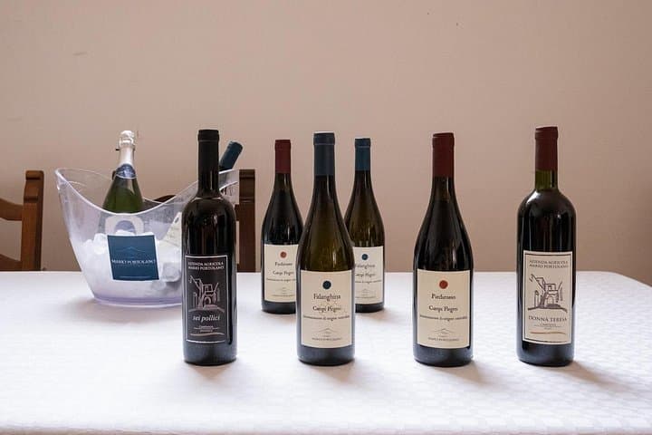 Campi Flegrei Wine Tasting from Naples: Volcanic Vineyards & Local Pairings photo 4