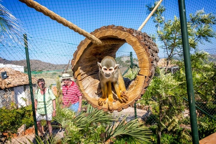 Amazonas Park & Glass-Bottom Boat Tour — Agios Nikolaos Wildlife and Mirabello Bay Cruise