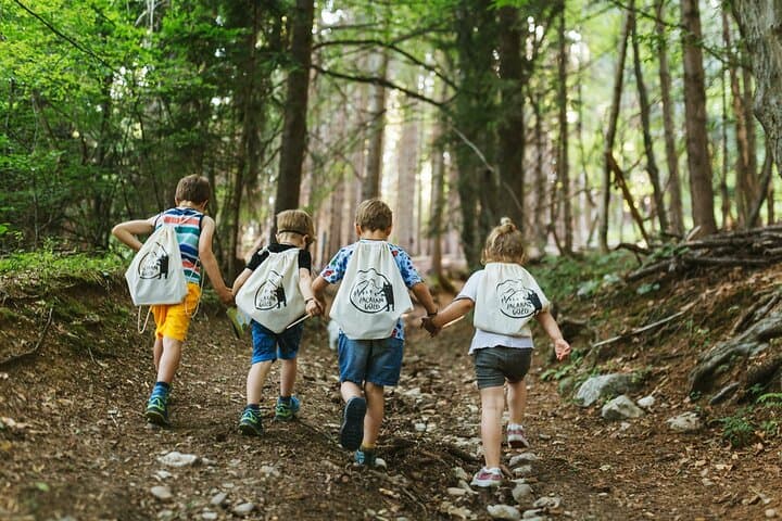 Enchanted Forest Family Adventure on Hom Hill, Bled