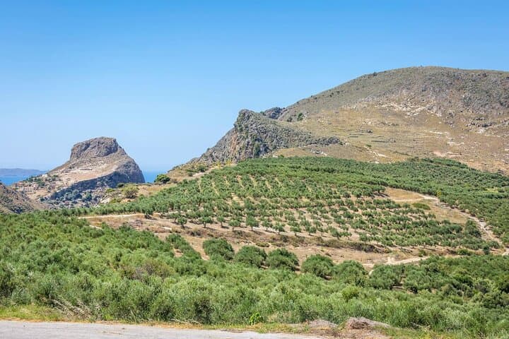 Western Crete Day Tour: Falassarna Beach, Karavitakis Winery & Biolea Olive Estate