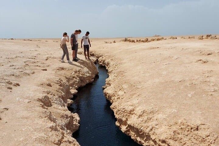 Ras Mohammed Explorer: Half-Day Snorkel & Nature Escape from Sharm El Sheikh photo 3