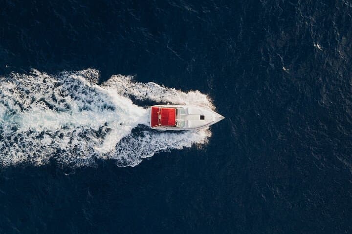 Luxury Catamaran Whale & Dolphin Private Charter — Tenerife Atlantic Excursion photo 5