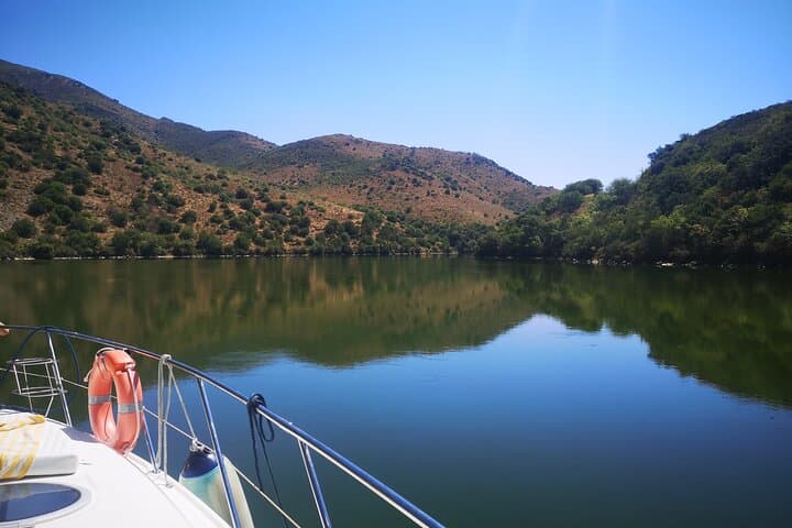 Private Douro River Boat Trip: Swim, Wine Tasting & Quiet Banks photo 3