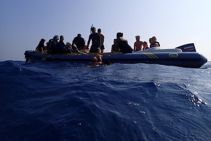 Sataya Dolphin House Snorkel from Marsa Alam — Swim with Spinner Dolphins photo 4