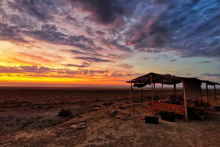 Two-Day Aral Sea Road Trip: Muynak, Ustyurt Canyons & Savitsky Museum photo 2