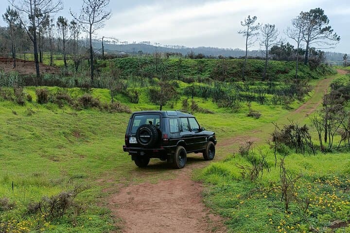 Madeira 4WD Skywalk: Seixal, Porto Moniz Natural Pools & Fanal Forest photo 6