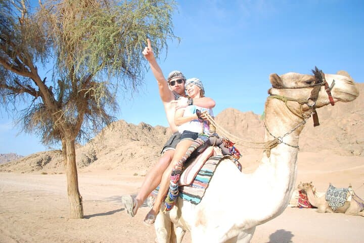 Camel Ride in Agadir: Beach & Souss River Eucalyptus Tour with Hotel Transfer photo 2