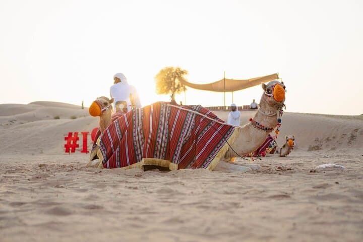 Dubai Desert Safari Premium: Platinum Camp Dune Bashing & Cultural Evening photo 5