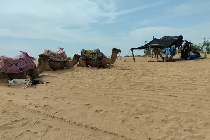 Private Mini Sahara Tour from Agadir: Dune Bashing & Berber Lunch photo 2
