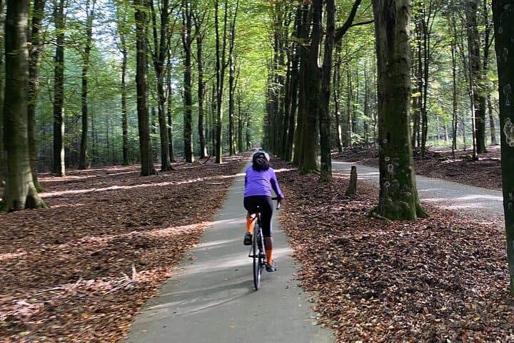 Full-Day Road Bike Rental in Amsterdam: Self-Guided Routes & Itineraries photo 4