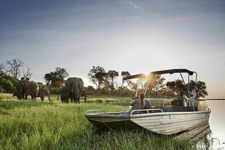 One-Day Chobe Safari from Victoria Falls: River Cruise & Afternoon Game Drive photo 4