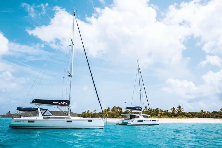 All-Inclusive Catamaran to Île aux Bénitiers — Crystal Rock, Dolphins & Snorkeling photo 1