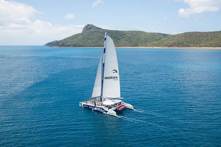 All-Inclusive Catamaran to Île aux Bénitiers — Crystal Rock, Dolphins & Snorkeling photo 2