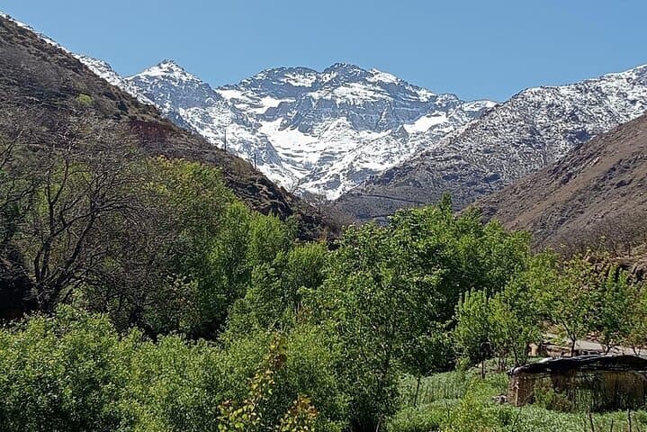 Ourika Valley Waterfalls Day Trip from Marrakech: Atlas Mountains Escape