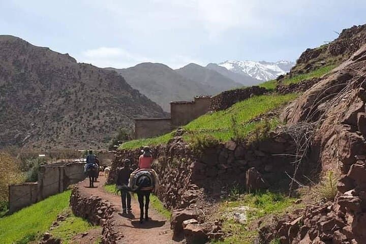 Atlas Mountains Day Trip from Marrakech: Imlil Valley Walk & Berber Lunch photo 4