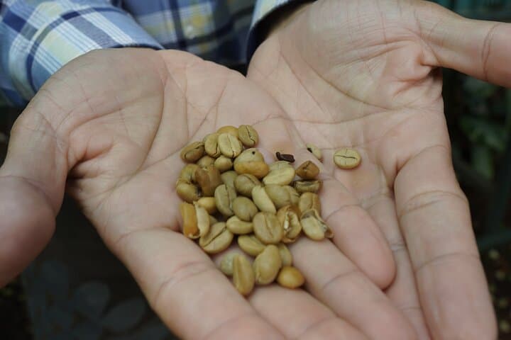 Doka Estate, Poás Volcano & La Paz Waterfalls: Full-Day Nature and Coffee Tour from San José photo 6