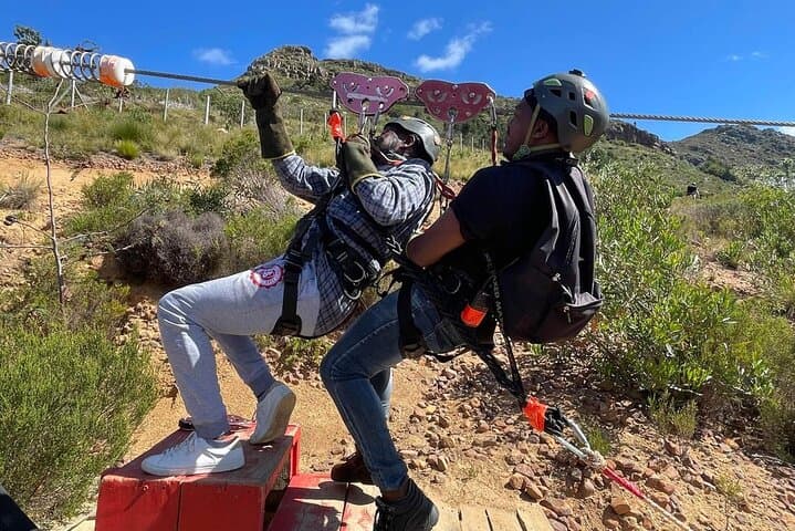 Table Mountain Full-Day Zipline Adventure & Wine Tasting in Cape Town