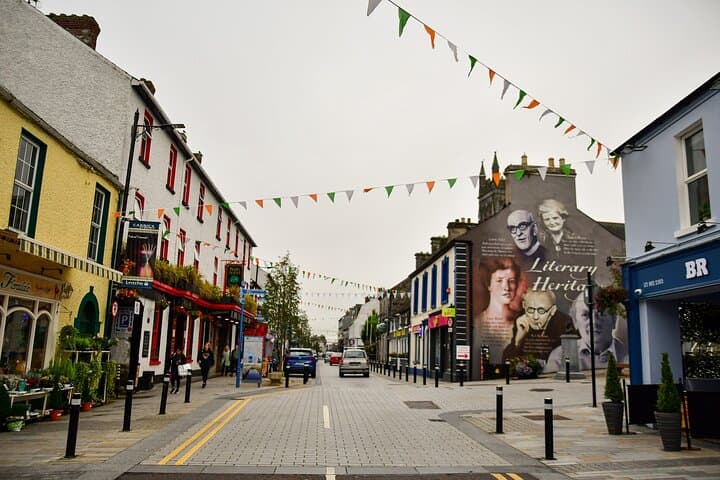 Private Dublin Highlights Walking Tour — Christ Church, Trinity & Temple Bar photo 4