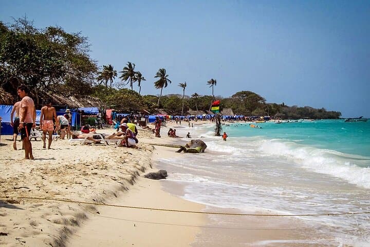 Swim with Bioluminescent Plankton at Playa Blanca, Barú — Day Trip from Cartagena photo 5