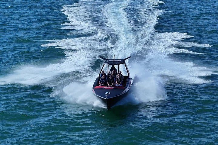 Noosa Thriller Ocean & Dolphin Adventure — High-Speed Dolphin Cruise from Noosaville photo 2