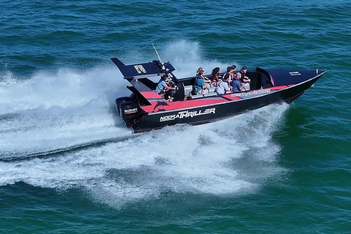 Noosa Thriller Ocean & Dolphin Adventure — High-Speed Dolphin Cruise from Noosaville photo 1