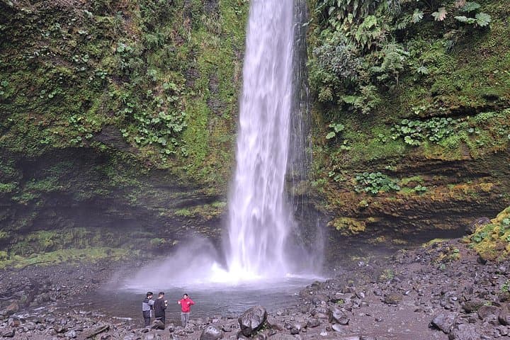 Full-Day Llanquihue Lake & Puerto Octay Waterfalls Tour from Puerto Varas