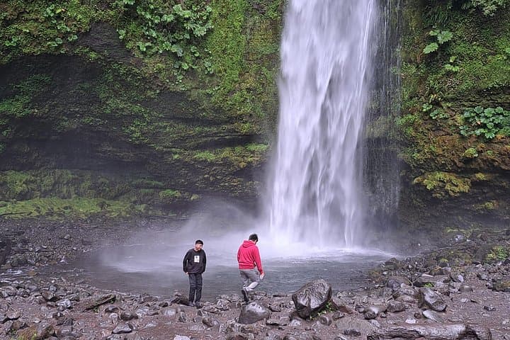 Full-Day Llanquihue Lake & Puerto Octay Waterfalls Tour from Puerto Varas photo 2