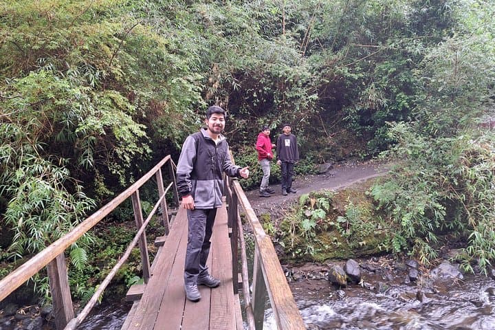 Full-Day Llanquihue Lake & Puerto Octay Waterfalls Tour from Puerto Varas photo 3