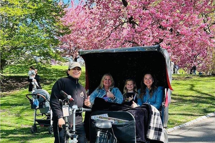 Central Park Pedicab Tour: 60-Minute Guided Ride from The Plaza Hotel photo 1