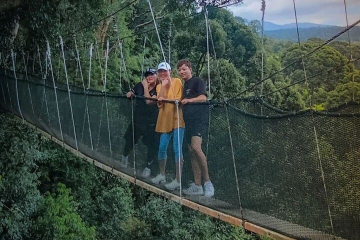Kinabalu Park & Poring Hot Springs Day Trip from Kota Kinabalu