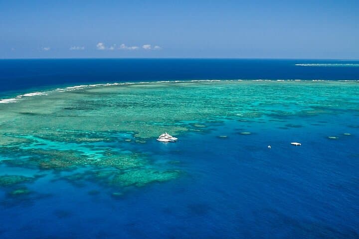 Great Barrier Reef Full-Day Cruise with 10-Minute Helicopter Scenic Flight photo 6