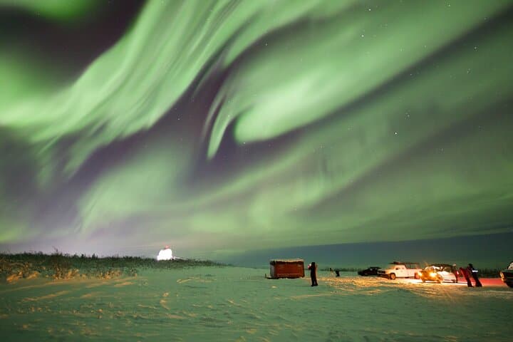 Arctic Circle and Northern Lights Chase from Fairbanks — 1-Day Aurora Tour photo 3