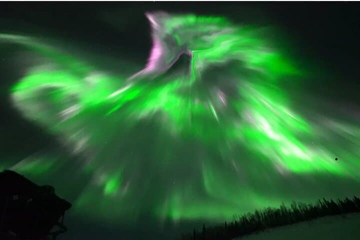 Arctic Circle and Northern Lights Chase from Fairbanks — 1-Day Aurora Tour