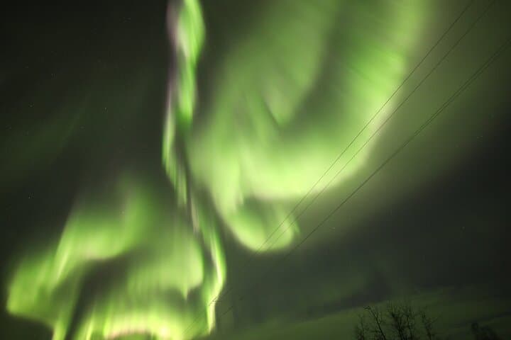 Arctic Circle and Northern Lights Chase from Fairbanks — 1-Day Aurora Tour photo 4