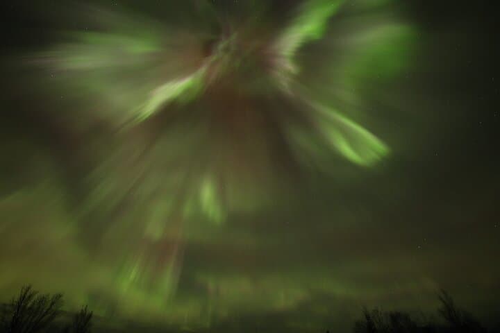 Arctic Circle and Northern Lights Chase from Fairbanks — 1-Day Aurora Tour photo 6