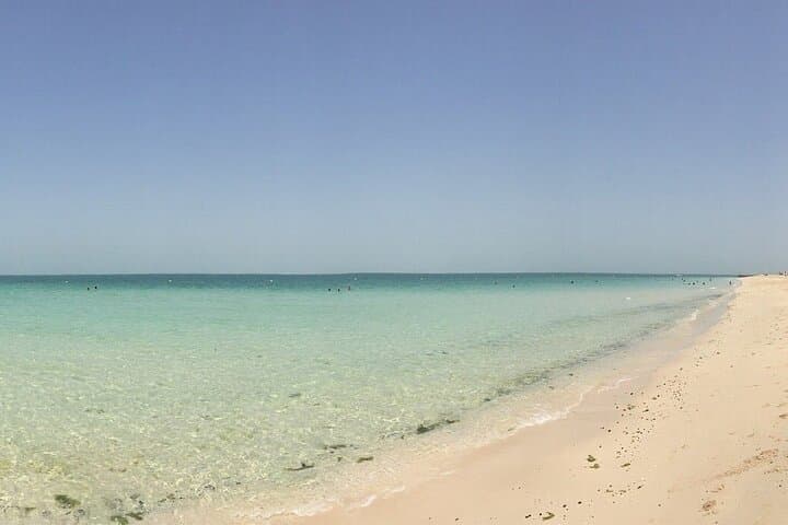 Private Transfers to Jebel Ali Open Beach — Stress-Free Beach Days in Dubai photo 6