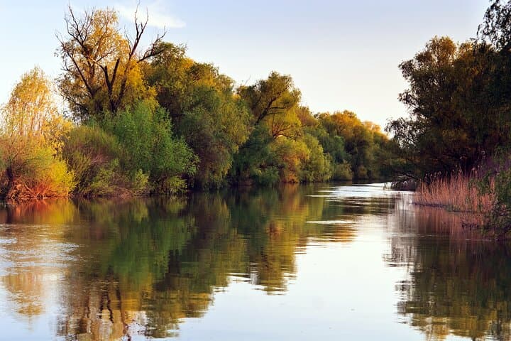 Explore the Tigre Delta: Small-Group Boat Tour from Buenos Aires photo 6