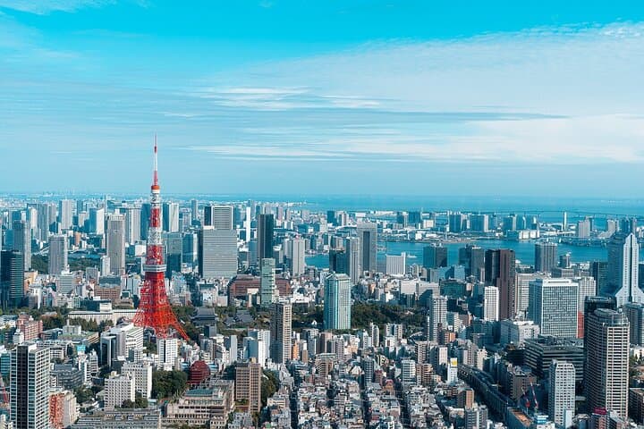 Private 1-Day Tokyo Custom Tour: Tailored Van Itinerary with English Driver