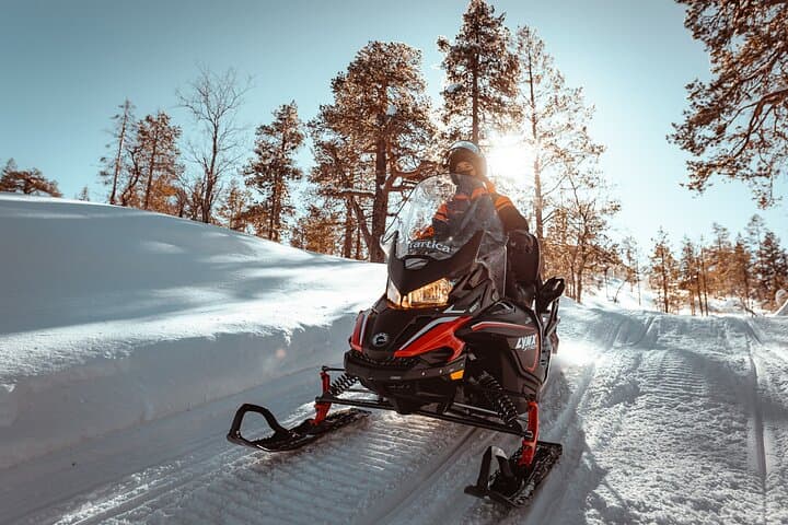 Snowmobile Safari and Ice-Fishing Lunch in Levi, Lapland