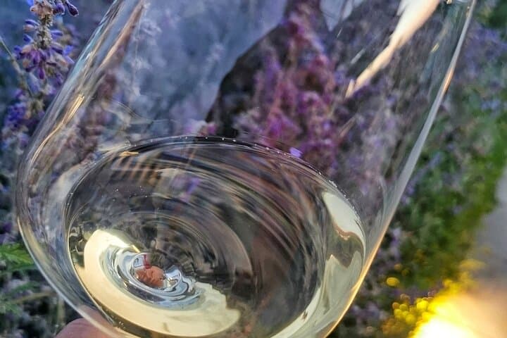 Private Cooking Class with Lake Como View: Hands-On Italian Cooking in Cernobbio photo 3