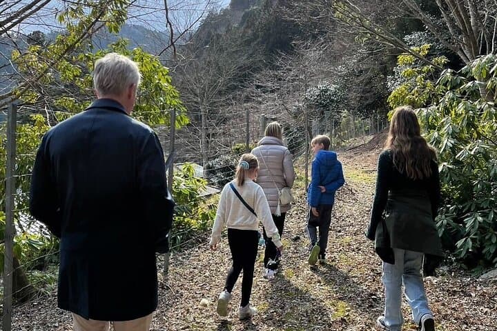 Full-Day Miyama Thatched Village Tour: Kayabuki Traditions & Riverside Hikes photo 3