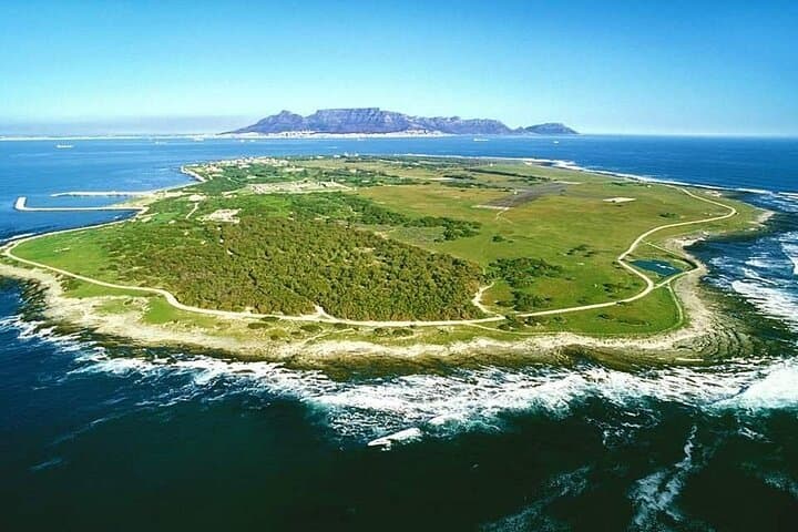 Table Mountain and Robben Island Private Tour: Cape Town Full-Day Historical and Nature Experience photo 4