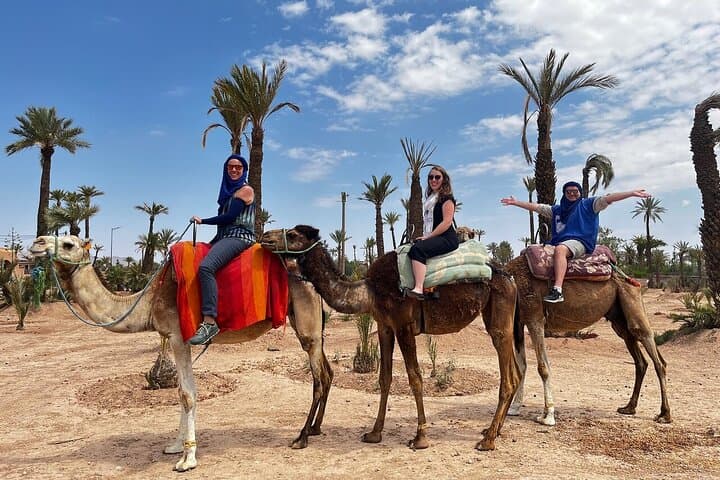 Private Marrakech Day Trip from Casablanca with Free Camel Ride photo 4