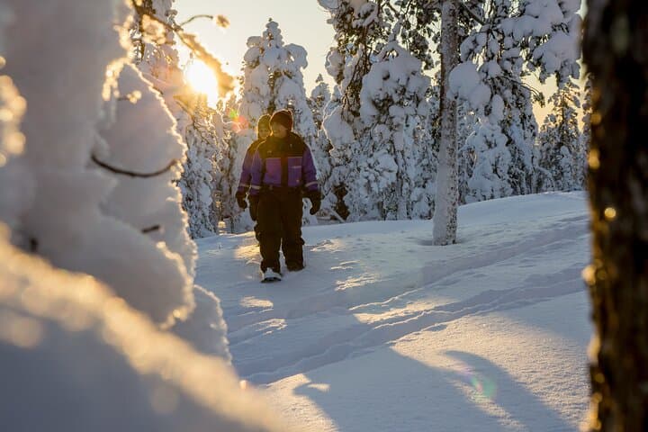 Scenic Levi Snowshoe Trip — Guided Snowshoeing in Finnish Lapland photo 4