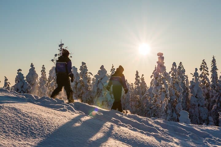 Scenic Levi Snowshoe Trip — Guided Snowshoeing in Finnish Lapland photo 6
