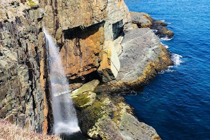 Killick Coast Coastal Hike from St. John's with Local Guide Deneen photo 2